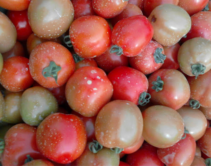 Tomato Pesticide Project